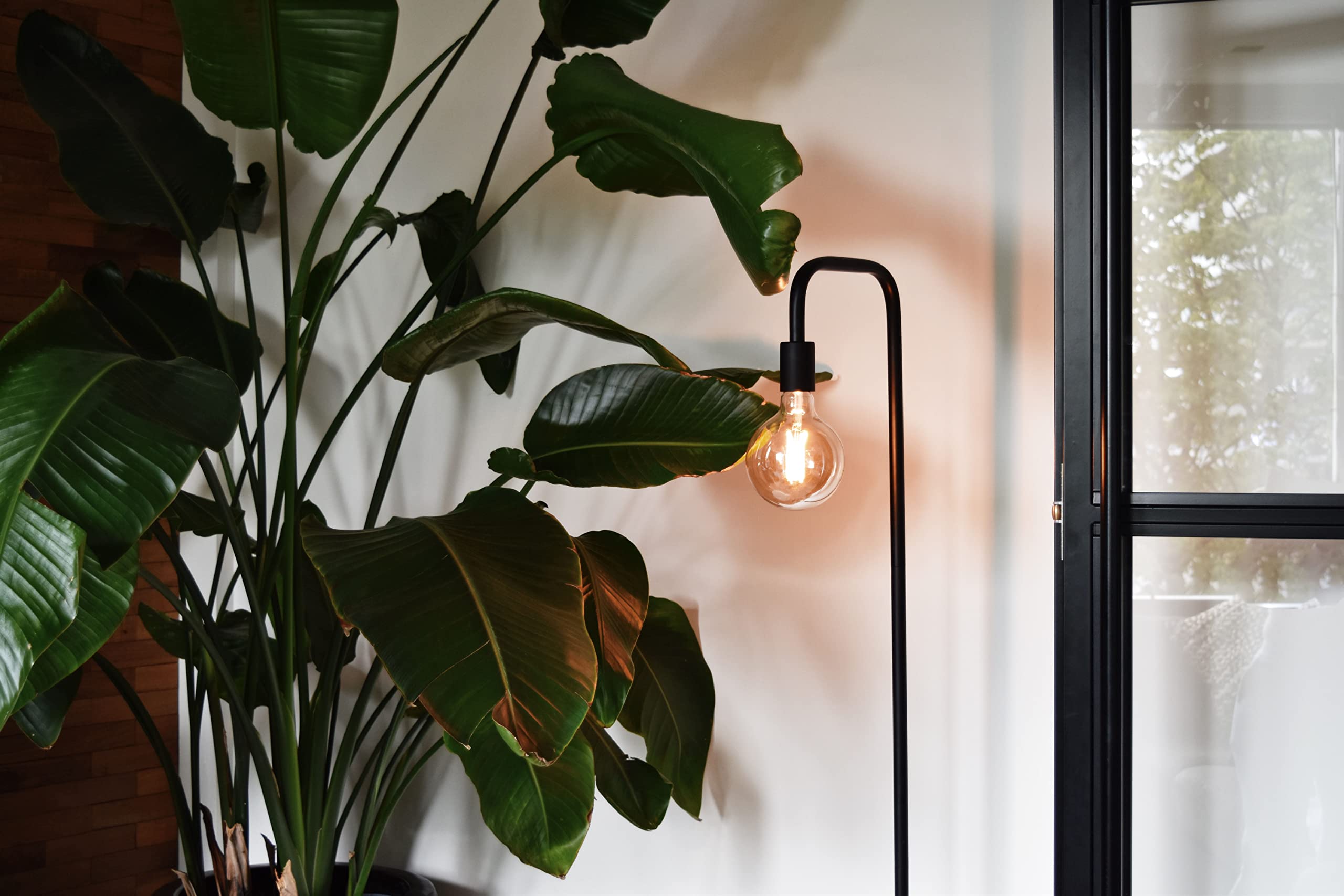 calex-smart-led-lampe-e27-g95-gold-filament image 2