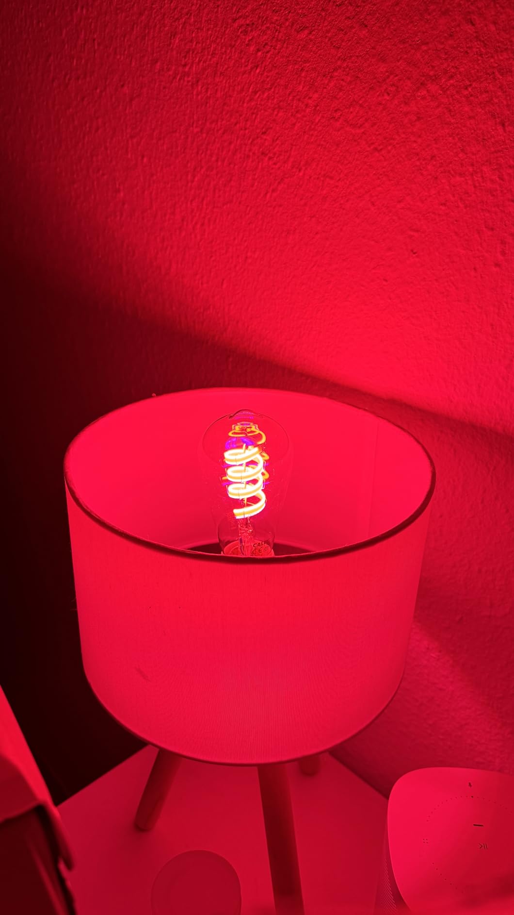 Alexa liebt sie