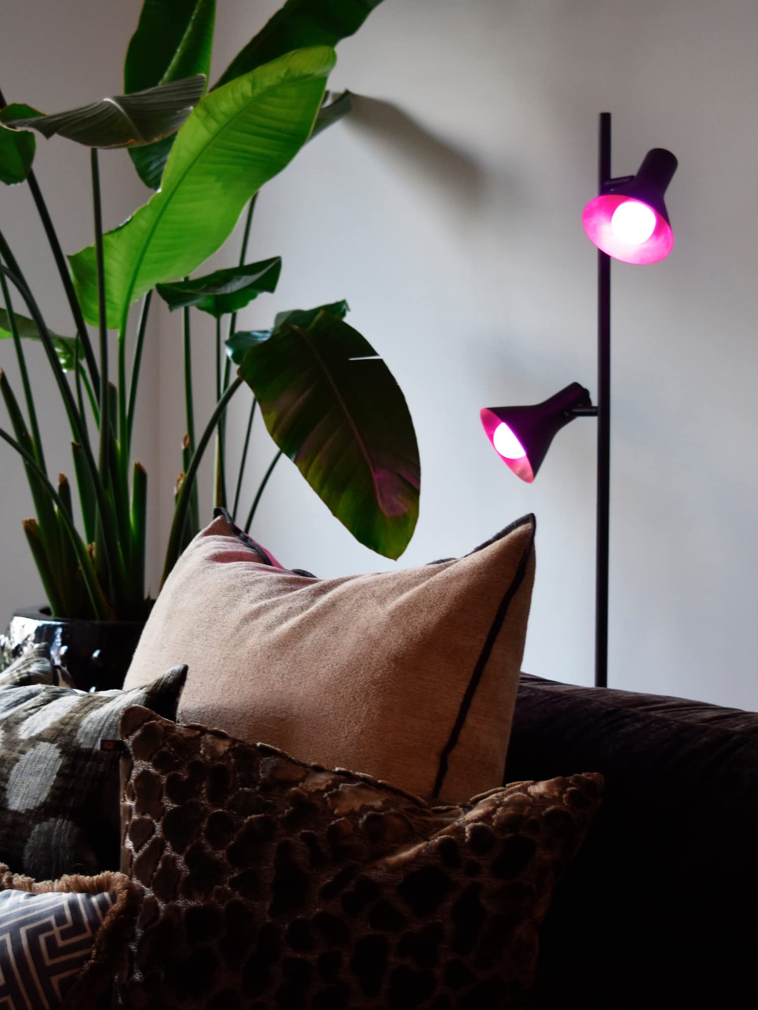 calex-smart-led-lampe-e27-p45-rgb-warmwei-wlan-dimmbar image 5