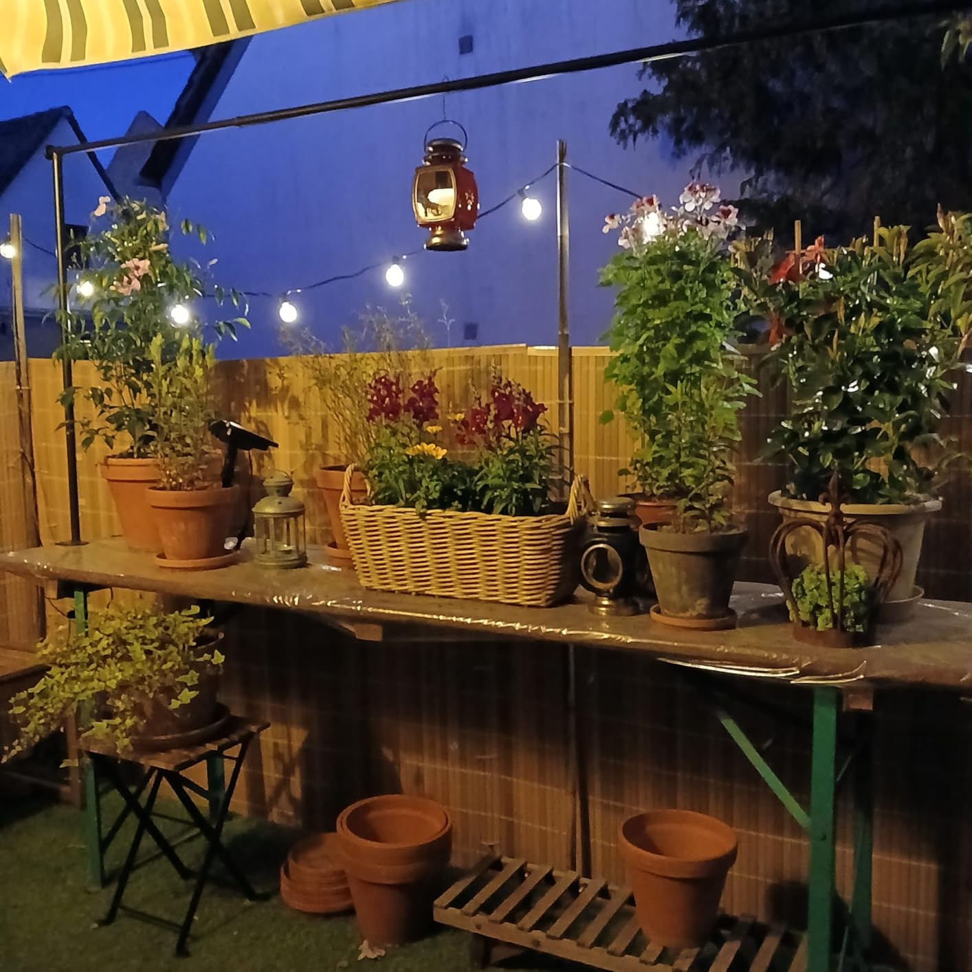 Perfekt für den Balkon
