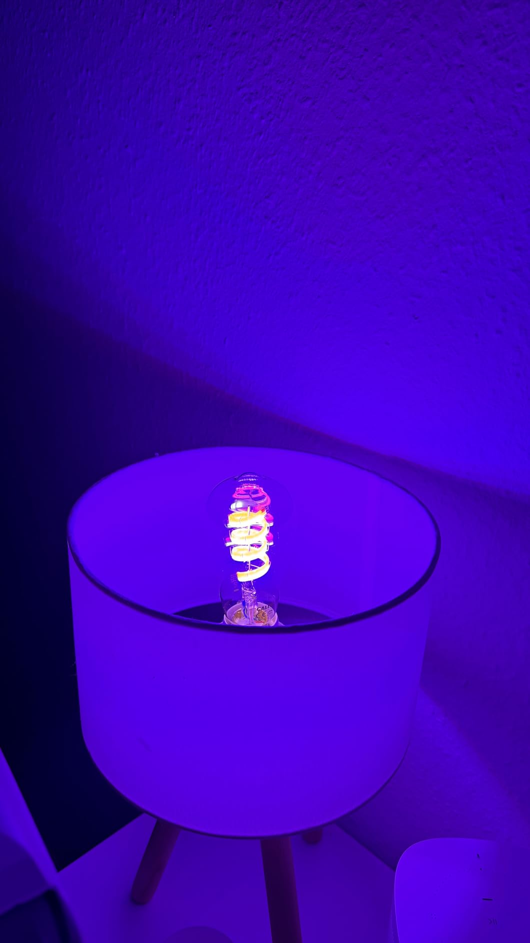 Einrichtung in 5 Minuten