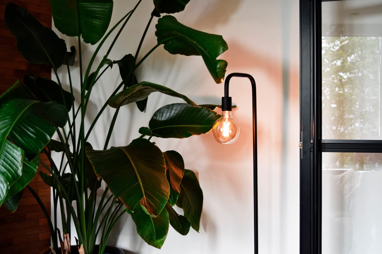 calex-smart-led-lampe-e27-g125-gold-filament-dimmbar-globe image 2